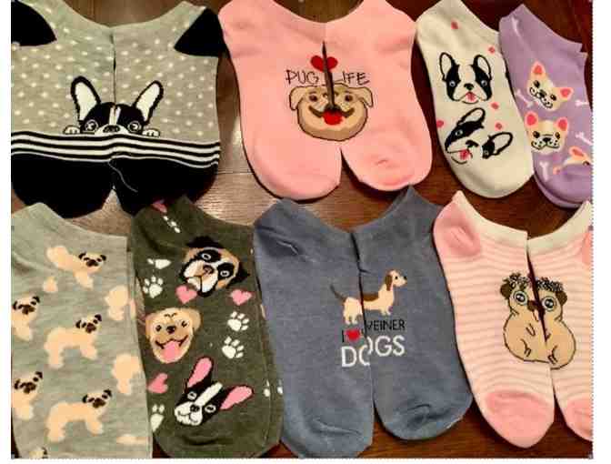 Novelty Ankle Socks for Dog Lovers 8 pairs