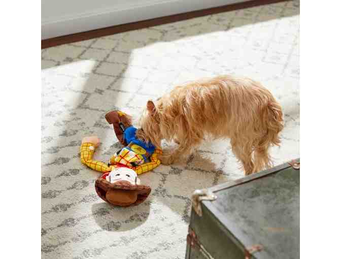 Pixar Woody Bungee Plush Squeaky Dog Toy