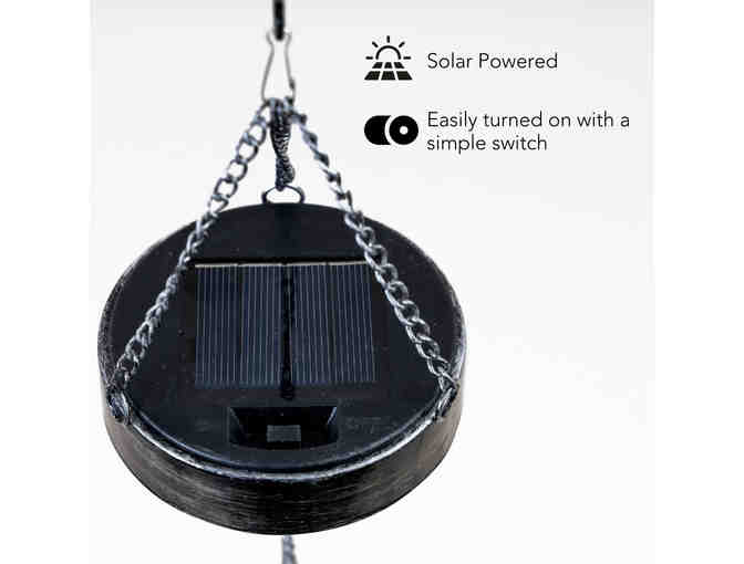 Garden Solar Lantern for Dog Lovers