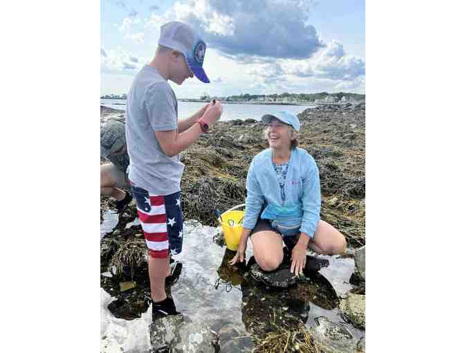 3-hour Adventure into Maine's Intertidal Region by Coast Encounters