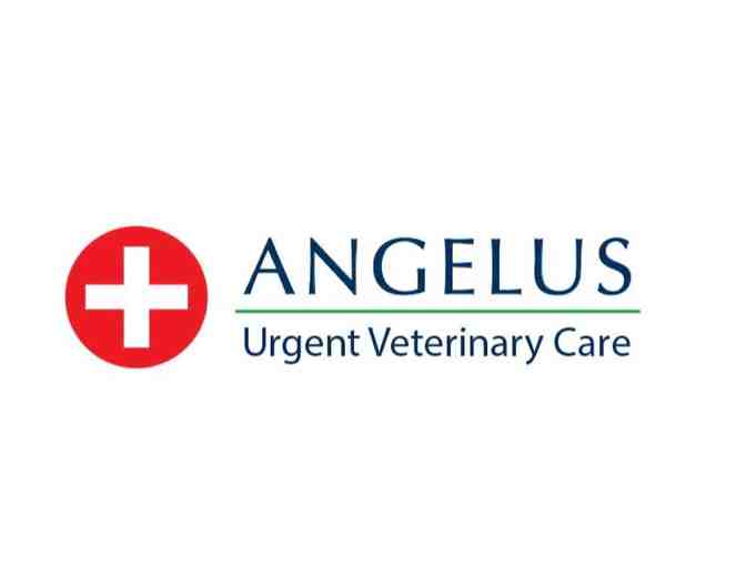 $150 Gift Certificate, Sea Bag and Gift Set courtesy of Angelus Urgent Veterinary Care - Photo 3