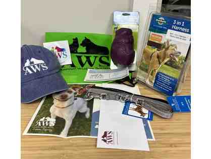 Private Training Lesson for a Dog or Puppy and Gift Set courtesy of Animal Welfare Society