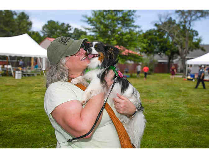 Private Training Lesson for a Dog or Puppy and Gift Set courtesy of Animal Welfare Society - Photo 5