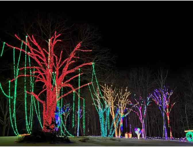 Winter Wonders Light Show on November 22nd at Sandy Hill - Photo 6