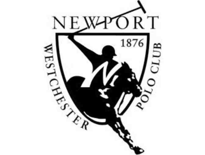 Newport Polo: Ten Lawn Tickets for One Polo Match in the 2024 Season - Photo 1