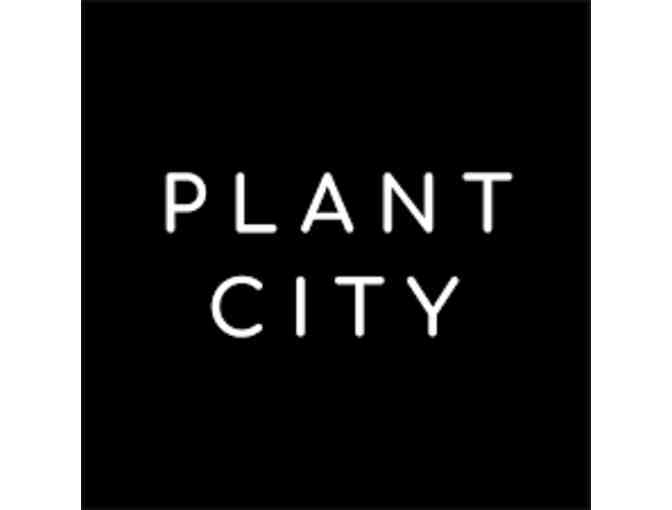 $100 Gift Certificate to Plant City - Photo 1