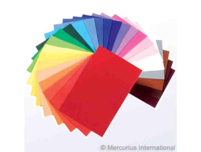 $250 Gift Certificate to Mercurius USA, Art Makes Sense - Photo 2