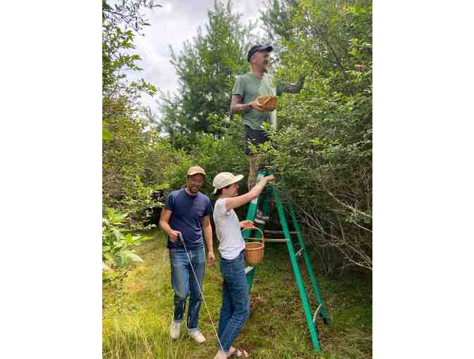 Catskill Cottage 5 Minutes from Bethel Woods