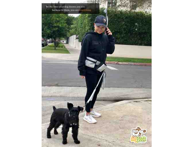 The Everything Leash + Fanny Pack by DogGoods