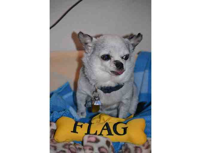 Flag (Flagstaff) Toy - Teddy's Personal Collection