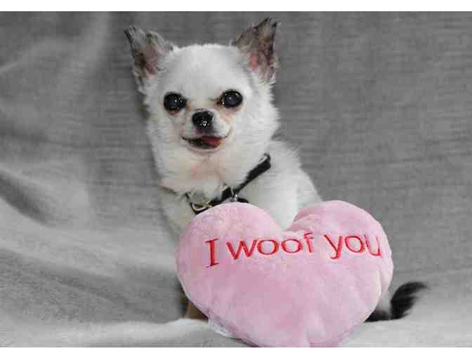 I Woof You Toy - Teddy's Personal Collection