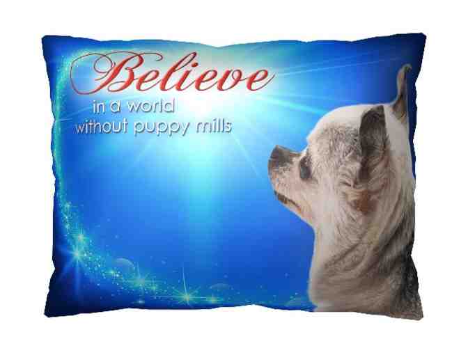 Pillow - Teddy - Believe