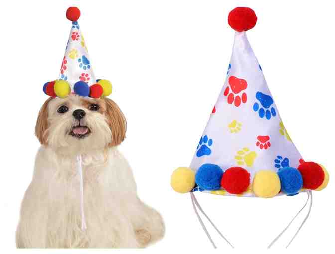 Birthday Pawprint Hat for Med-Lg Dogs