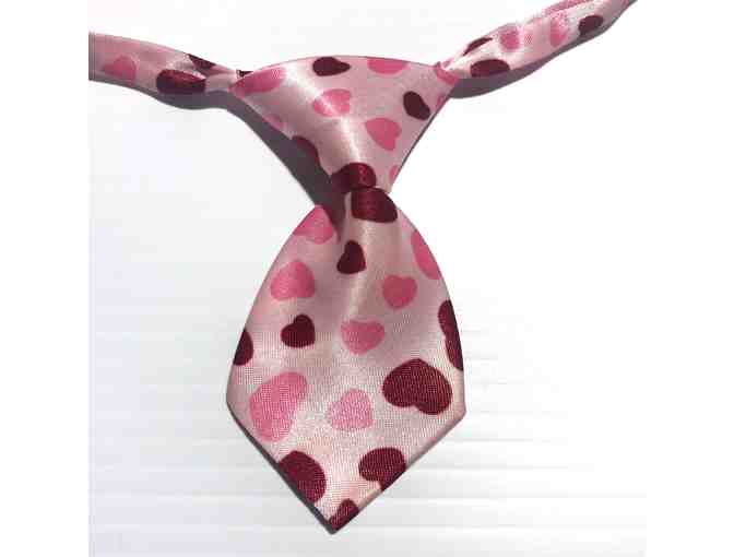 Pizza Collar and Heart Doggie Tie