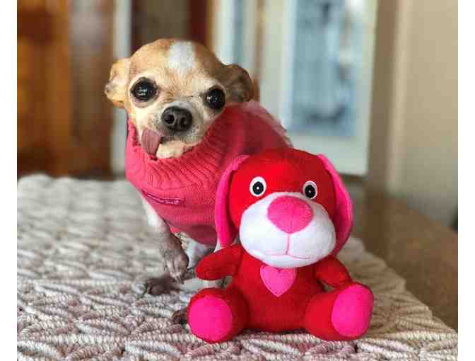Miss Pickles - Heart Dog Toy