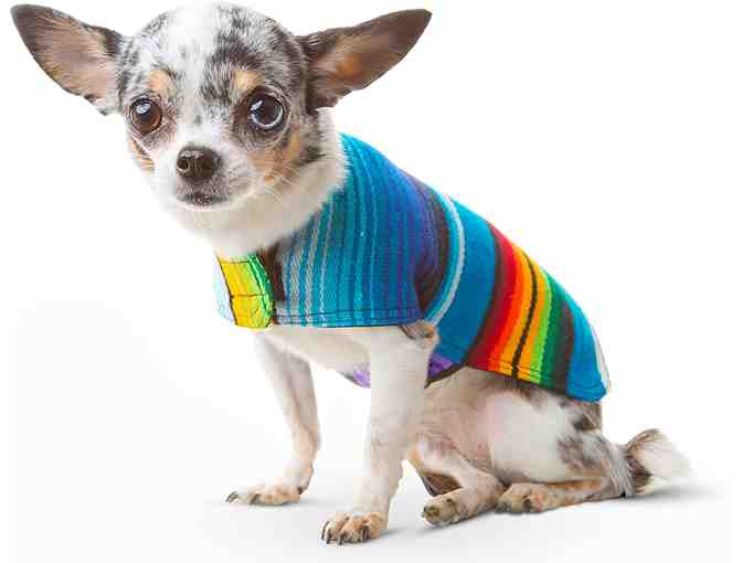 Colorful Dog Poncho