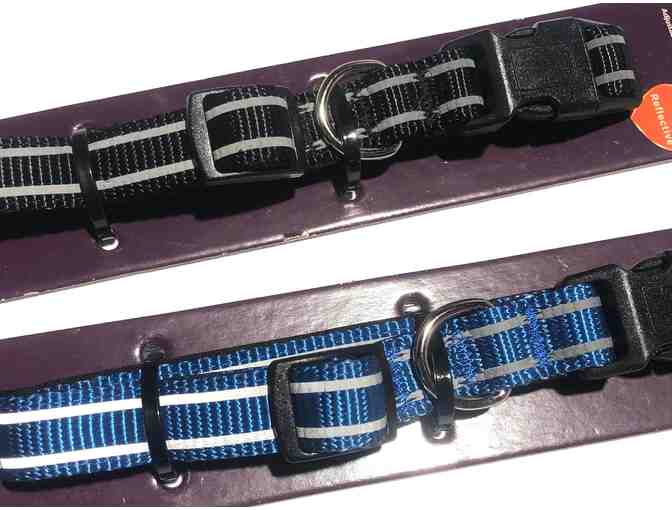 Set of 2 Dog Collars, Black & Blue, Size M