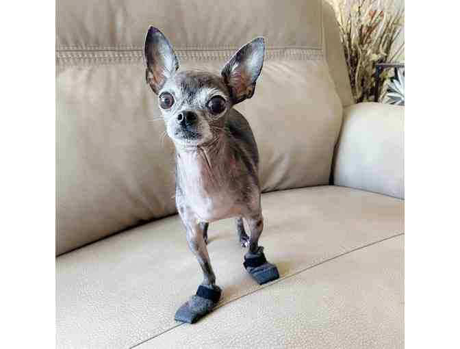 Evie's Boots