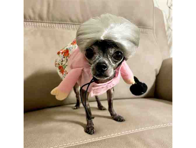 Evie's Halloween Costume (small)