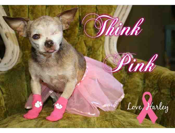 Harley's 'Think Pink' Awareness Socks