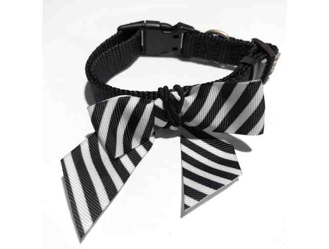 Toby's Black and White Bowtie w/Collar