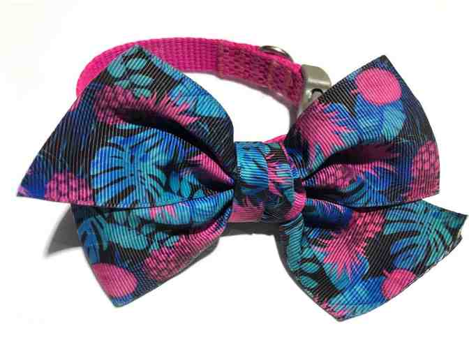 Toby's Colorful Bowtie w/Collar