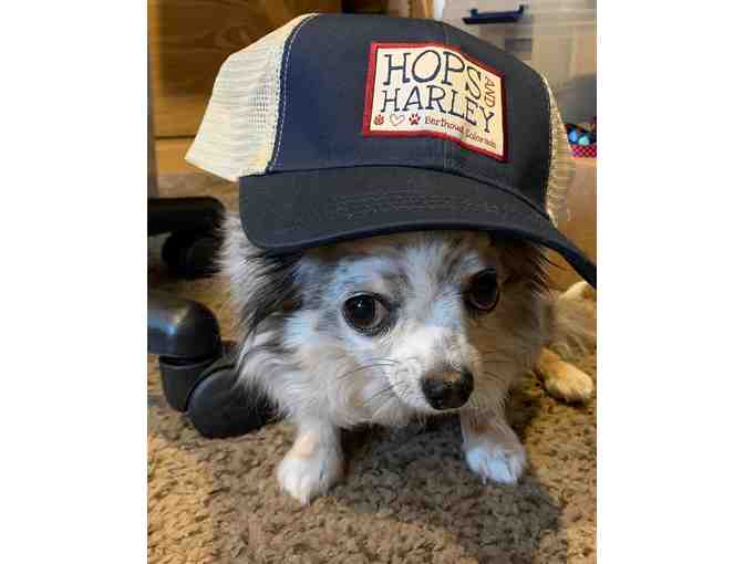 Toby's 'Hops and Harley' Baseball Cap