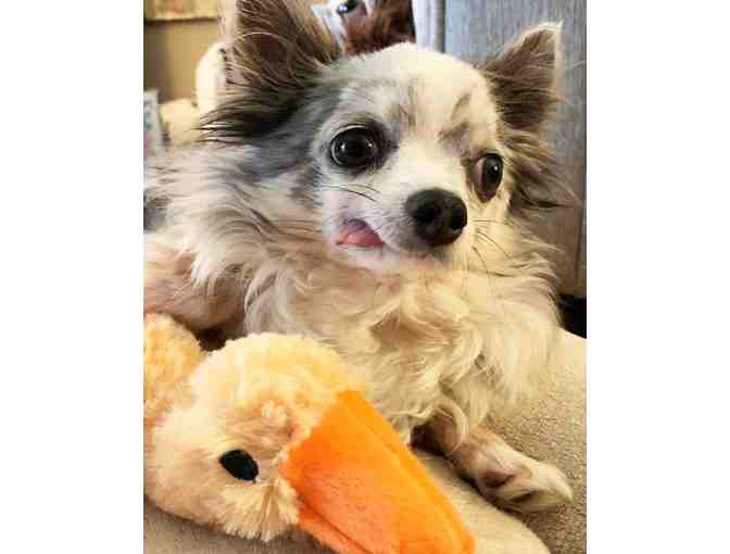 Toby's Large Duck Toy