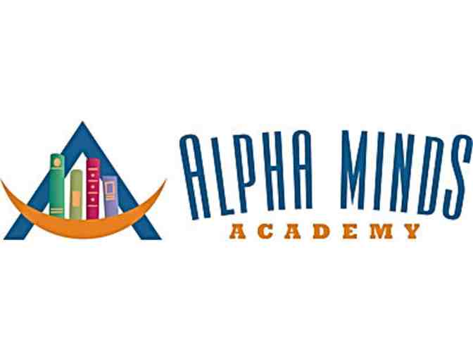 Alpha Minds Academy - 10 Classes