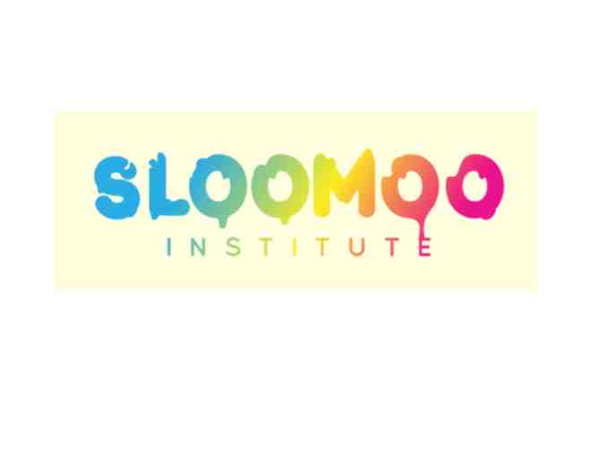 Sloomoo Institute - 2 Tickets