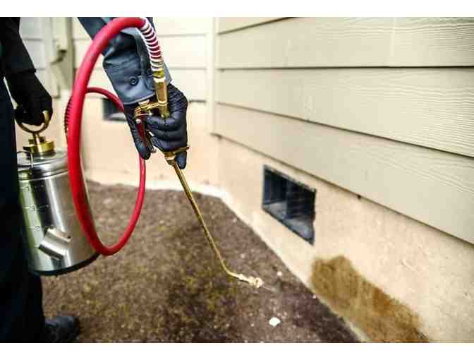$25 Gift Certificate to Bi-Oh Pest Control - Photo 2