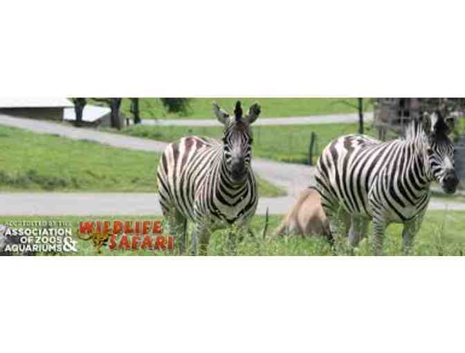 Four Passes to Wildlife Safari - Photo 3