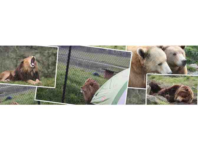 Two Admission Passes to Wildlife Safari
