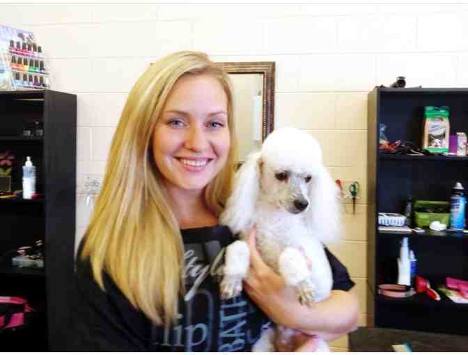 $100 in Grooming Services from Lucky Dog Pet Salon #2