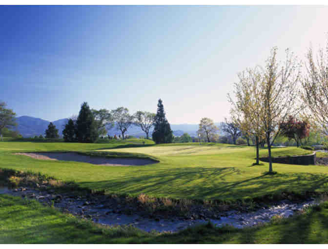 9 Hole Round of Golf with a Cart each Month for a Year from Quail Point Golf Course - Photo 4