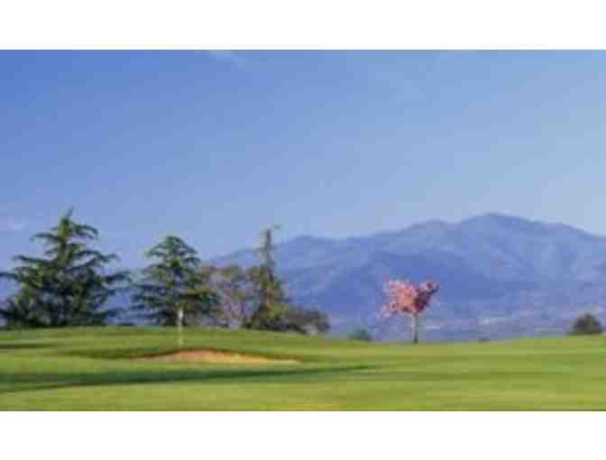 9 Hole Round of Golf with a Cart each Month for a Year from Quail Point Golf Course - Photo 5