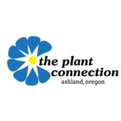 The Plant Connection
