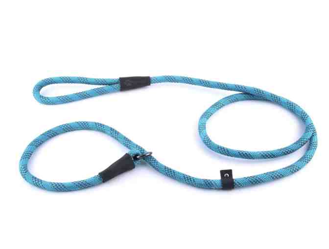 Max and Neo 5 Foot Reflective Nylon Rope Slip Lead - Photo 1