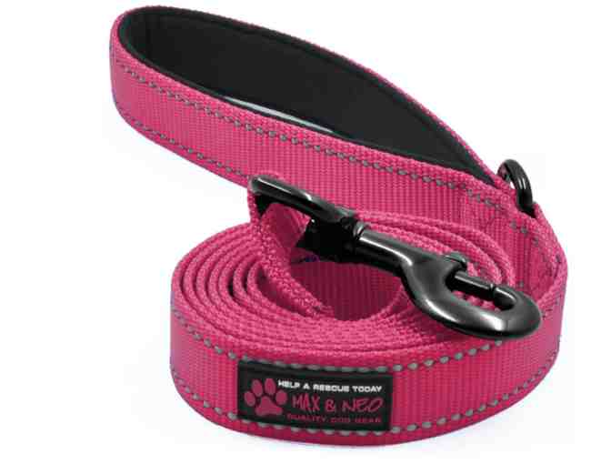 Max and Neo Orange Nylon Reflective Dog Leash - Photo 1