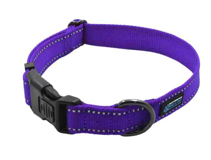 Max and Neo NEO Dog Collar Medium size - Purple - Photo 1