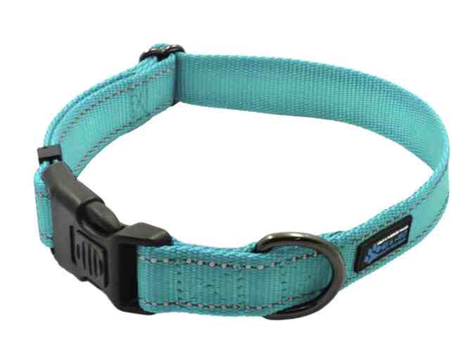 Max and Neo NEO Dog Collar Medium size Teal - Photo 1