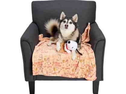 Peanuts Snoopy Fall Printed Dog Blanket and Toy Set