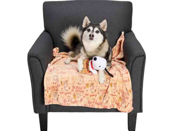 Peanuts Snoopy Fall Printed Dog Blanket and Toy Set - Photo 1