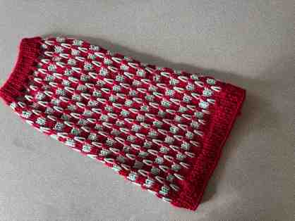 Hand-Knit Dog Sweater