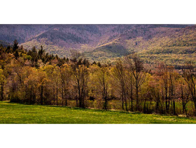 Catskill Woodland Glow fine art print and Historic Hudson Valley: A Photographic Tour Book