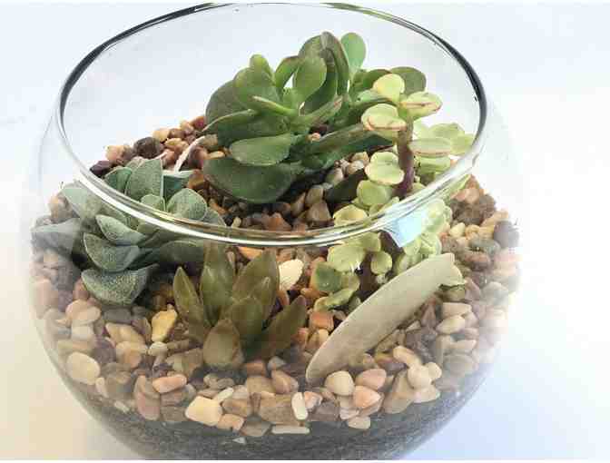 STAFF-CREATED: Lori's Handmade Succulent Small Terrarium