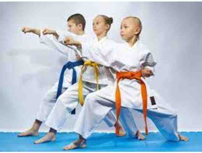 Birthday Party at Master O Karate Academy
