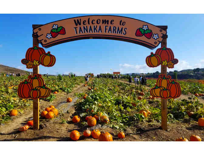 4 people to visit Tanaka Farms for Seasonal Farm Tour - Photo 1