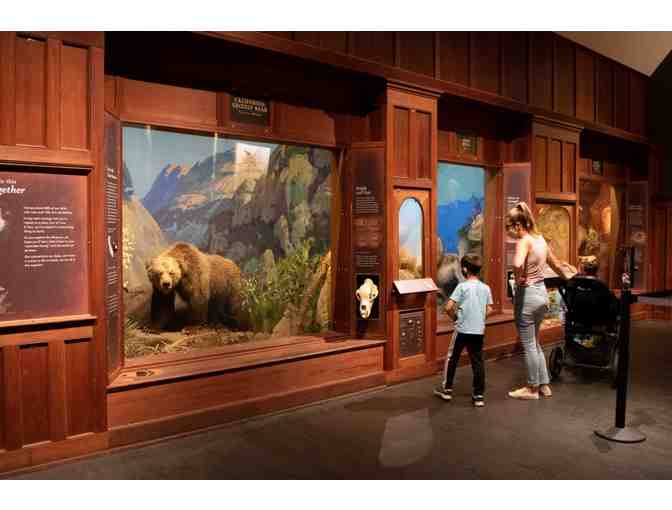 Four (4) Guest Passes to Santa Barbara Museum of Natural History or the Sea Center