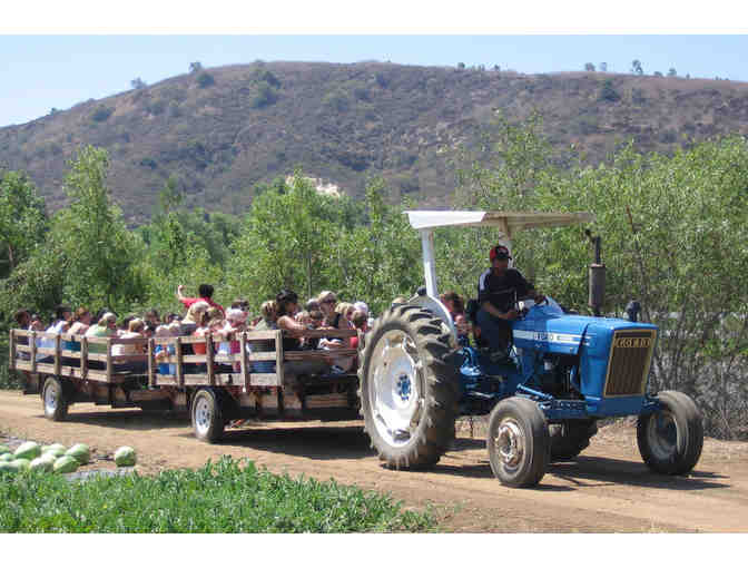 4 people to visit Tanaka Farms for Seasonal Farm Tour